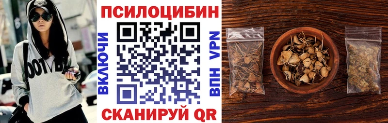 площадка формула Аша Галлюциногенные грибы Psilocybe