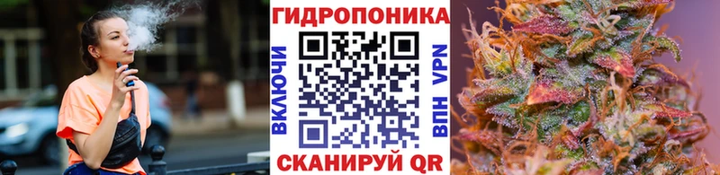 продажа наркотиков Аша Бошки Шишки SATIVA & INDICA